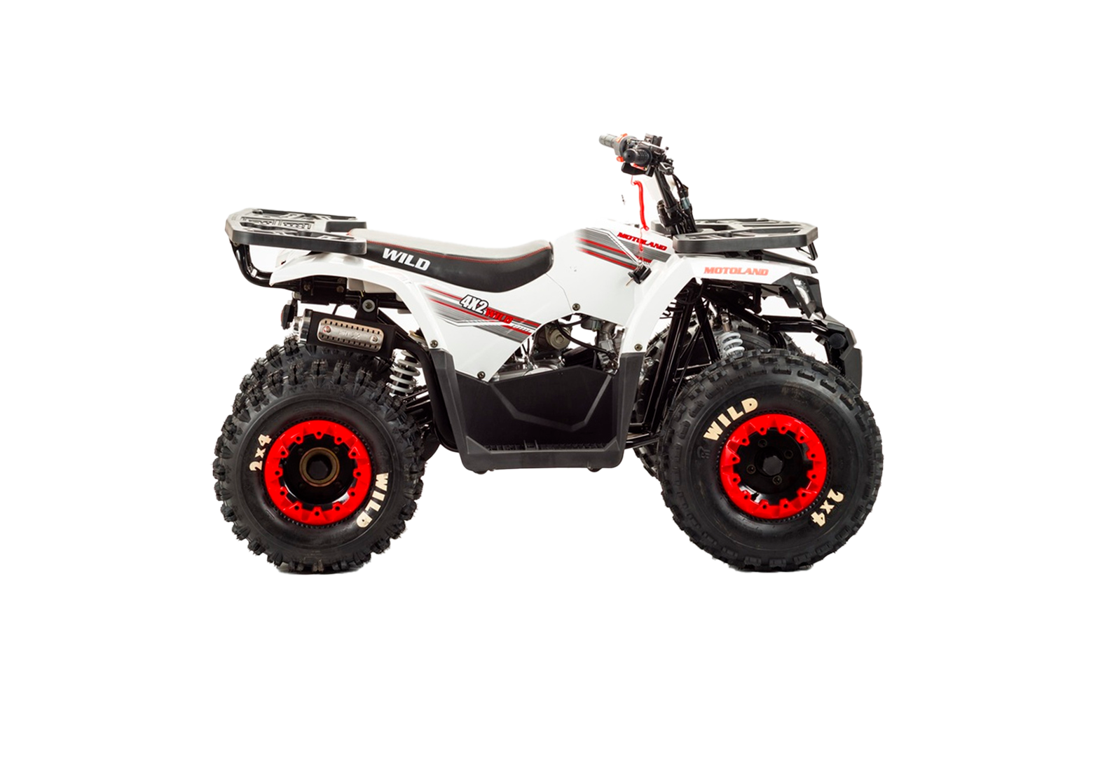 Квадроцикл Motoland 125 WILD BASIC белый pitbikemarket.ru