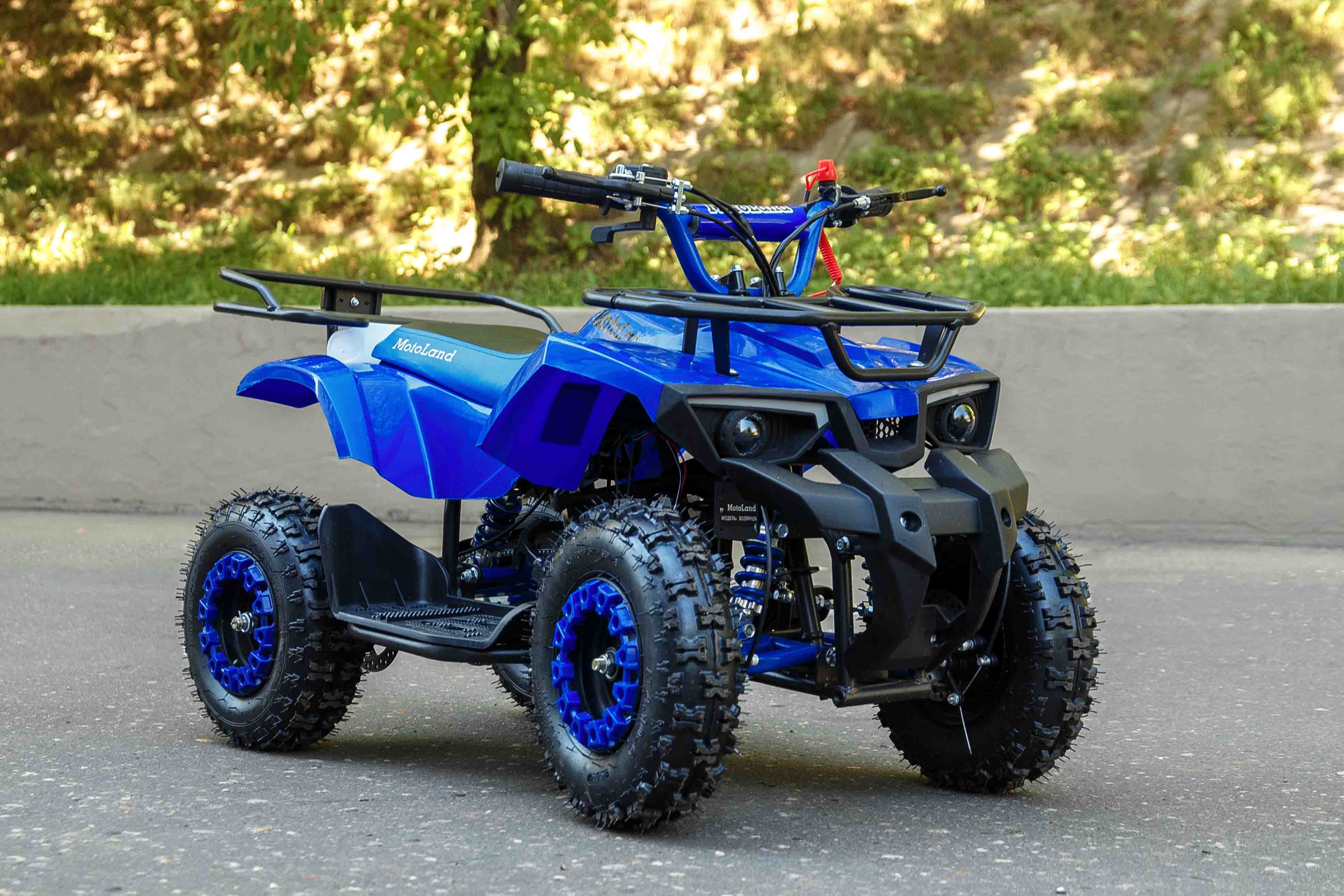 Квадроцикл Motoland VOX50 SCORPION синий pitbikemarket.ru