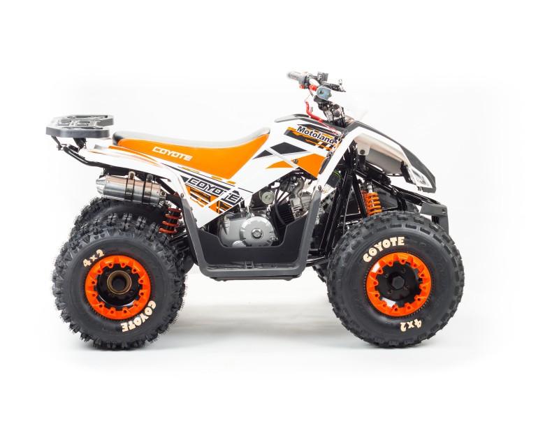 Квадроцикл TAO MOTOR COYOTE 150 pitbikemarket.ru