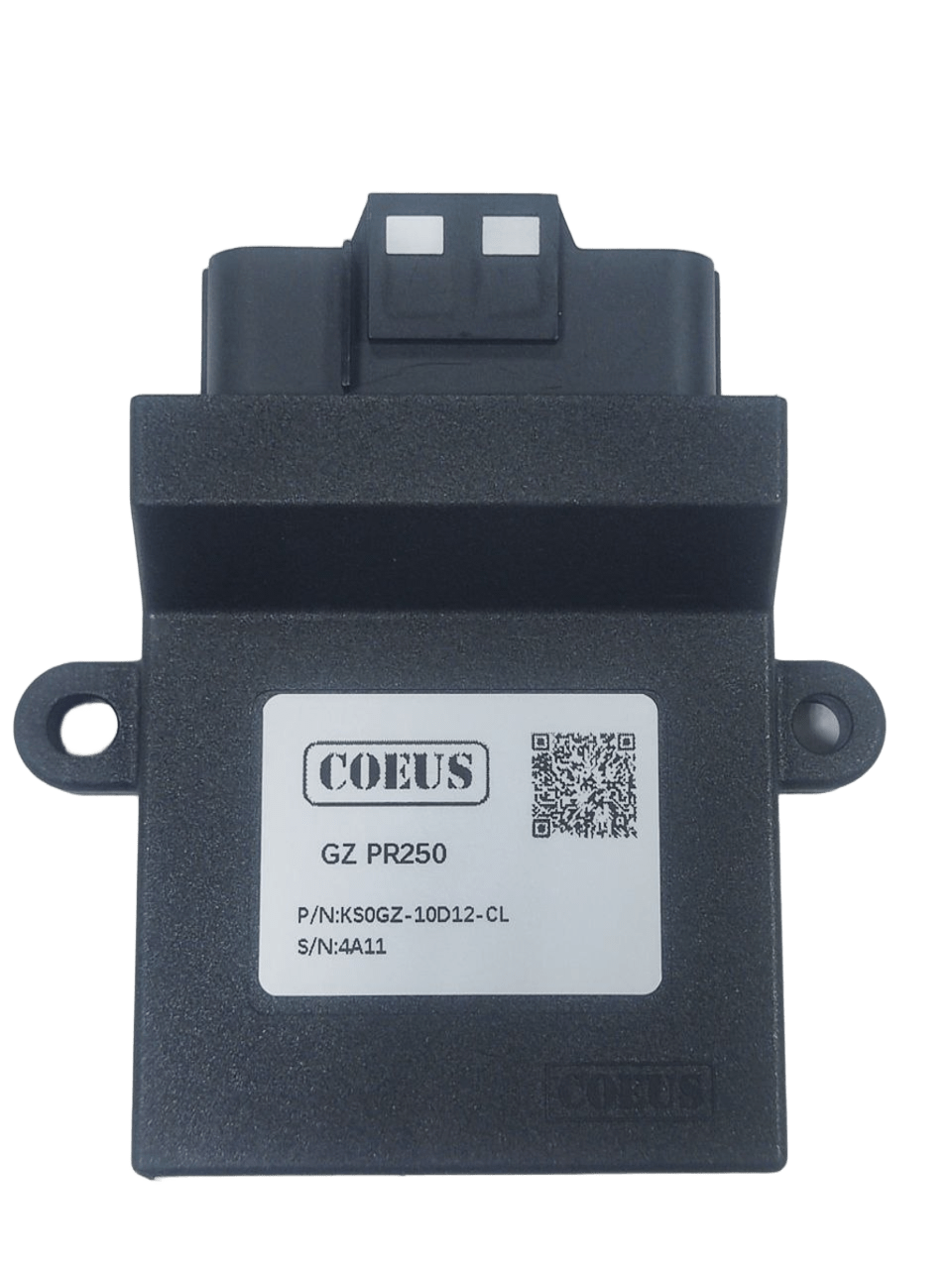 Электронный блок управления (ЭБУ) COEUS EFI для ZS172-5a (PR250) pitbikemarket.ru