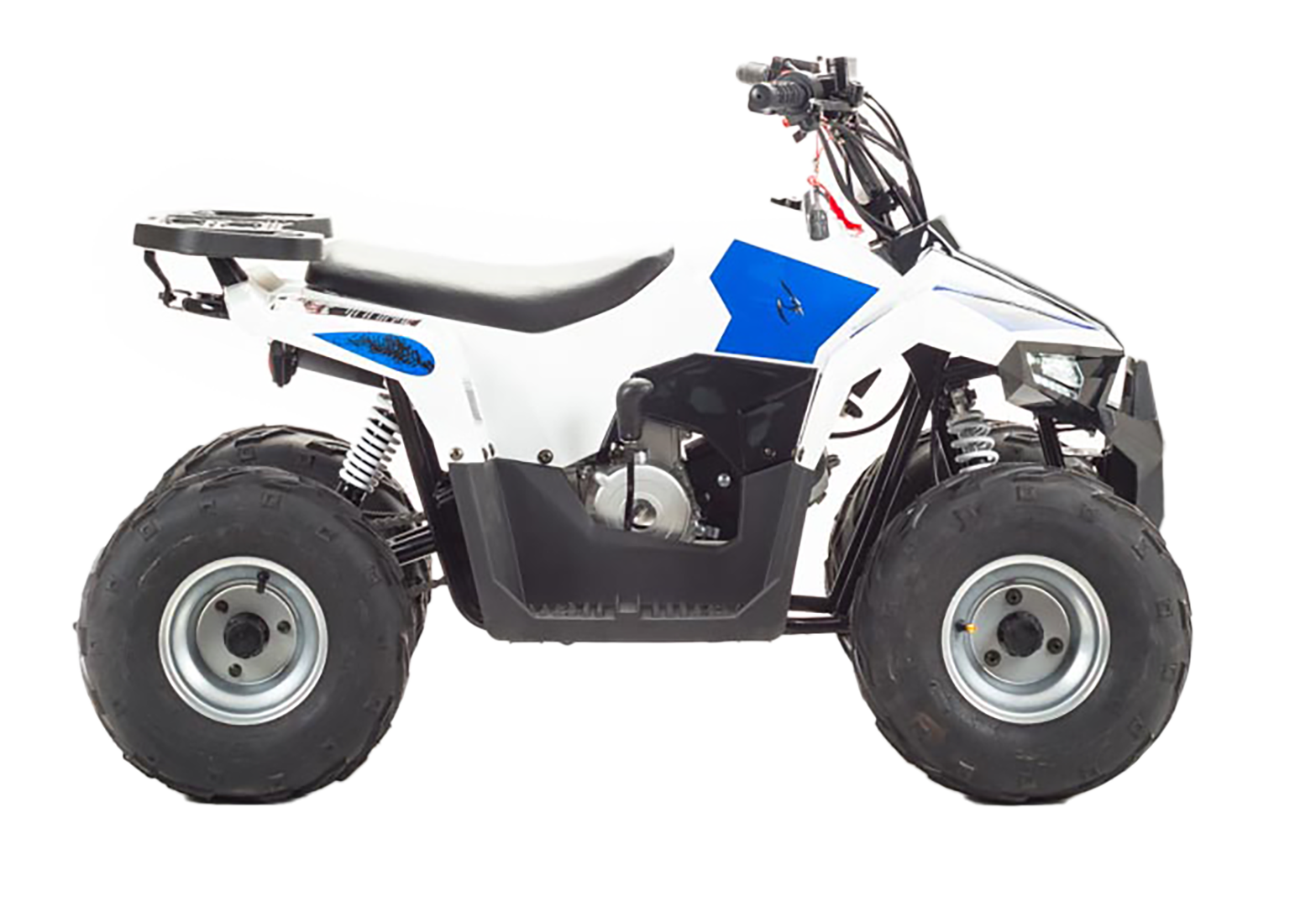 Квадроцикл TAO MOTOR MUDHAWK 110 pitbikemarket.ru