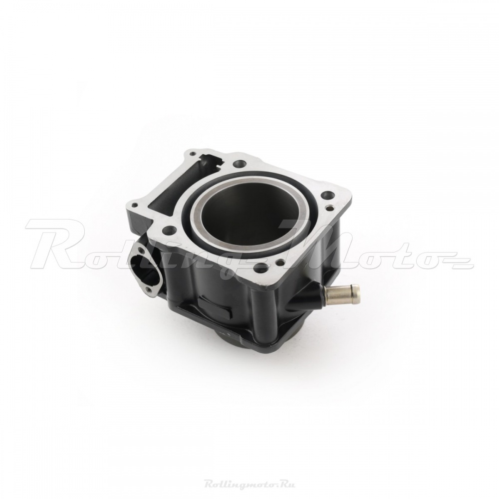Цилиндр двиг. ZS174MN-3 (CBS300)  CN pitbikemarket.ru