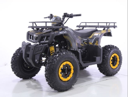 Квадроцикл бензиновый MOTAX GRIZLIK T 200 pitbikemarket.ru