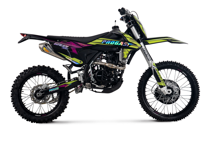 Мотоцикл Progasi GAUDI 300 пурпурно-зелёный pitbikemarket.ru