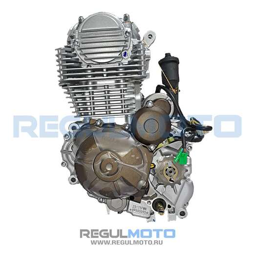 Двигатель в сборе ZS172FMM-5 PR (175FMN), 300cc, Big Bore 75мм, 6 передач, с баланс валом без кикстартера pitbikemarket.ru
