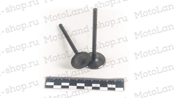 Клапаны ГРМ (компл.=2шт) 250см3 172FMM-3A ZS250 (CB250-F) X-TECH pitbikemarket.ru