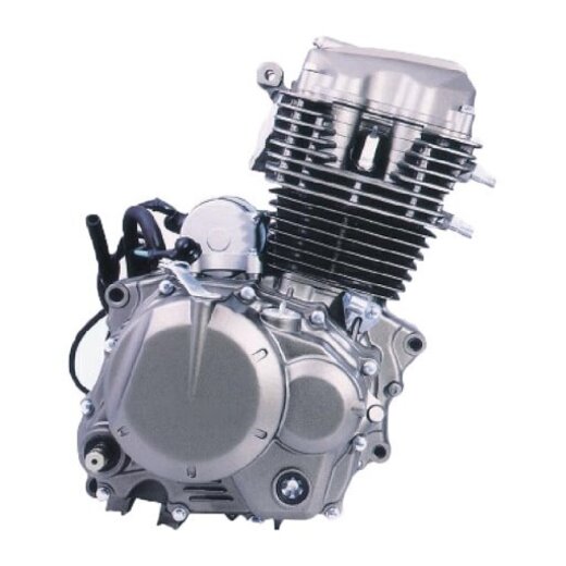 Двигатель 250см3 169FMM CB250 (69x62,2) Zongshen грм цепь, 5ск pitbikemarket.ru