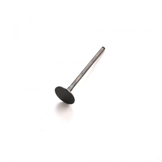 Клапан впускной двиг. YX150-160 4V (4-х клапанный)  SM-PARTS pitbikemarket.ru