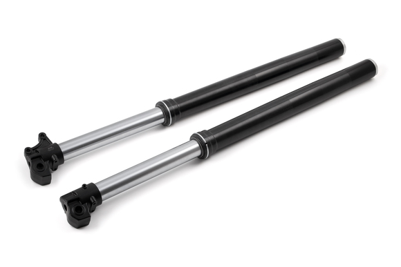 Перья вилки для эндуро мотоцикла 840мм 51/54 41мм PROCIDA PR300 pitbikemarket.ru