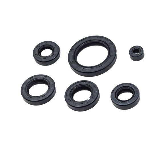 Набор сальников полный 165-172FMM (CBB250) X-TECH pitbikemarket.ru