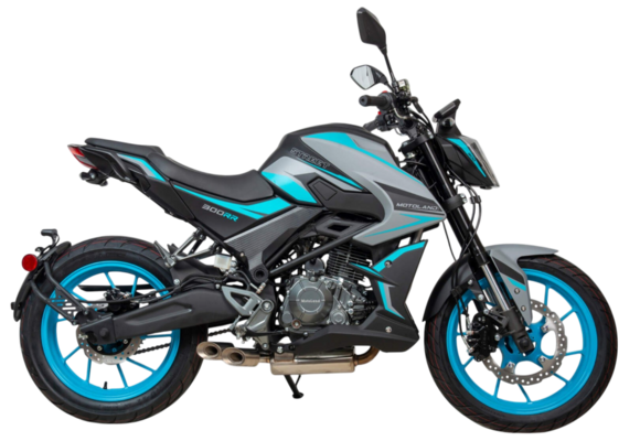 Мотоцикл Motoland 300 NK 300 pitbikemarket.ru
