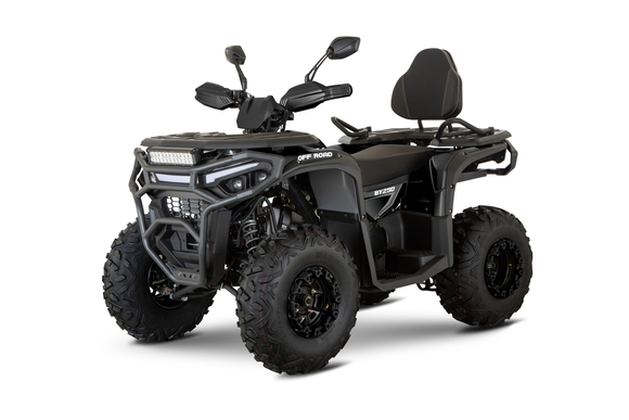Квадроцикл Kamiza BY250 Lux (серый) pitbikemarket.ru