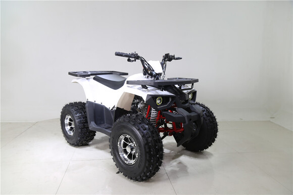 Квадроцикл TAO MOTOR HUNTER 125 pitbikemarket.ru