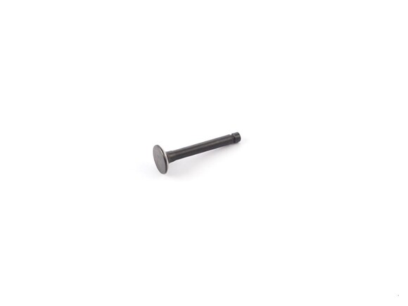 Клапан выпускной двиг. ZS 1P44FMC pitbikemarket.ru