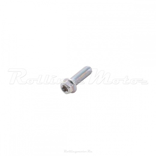 Болт М8х25 Torx T40 pitbikemarket.ru