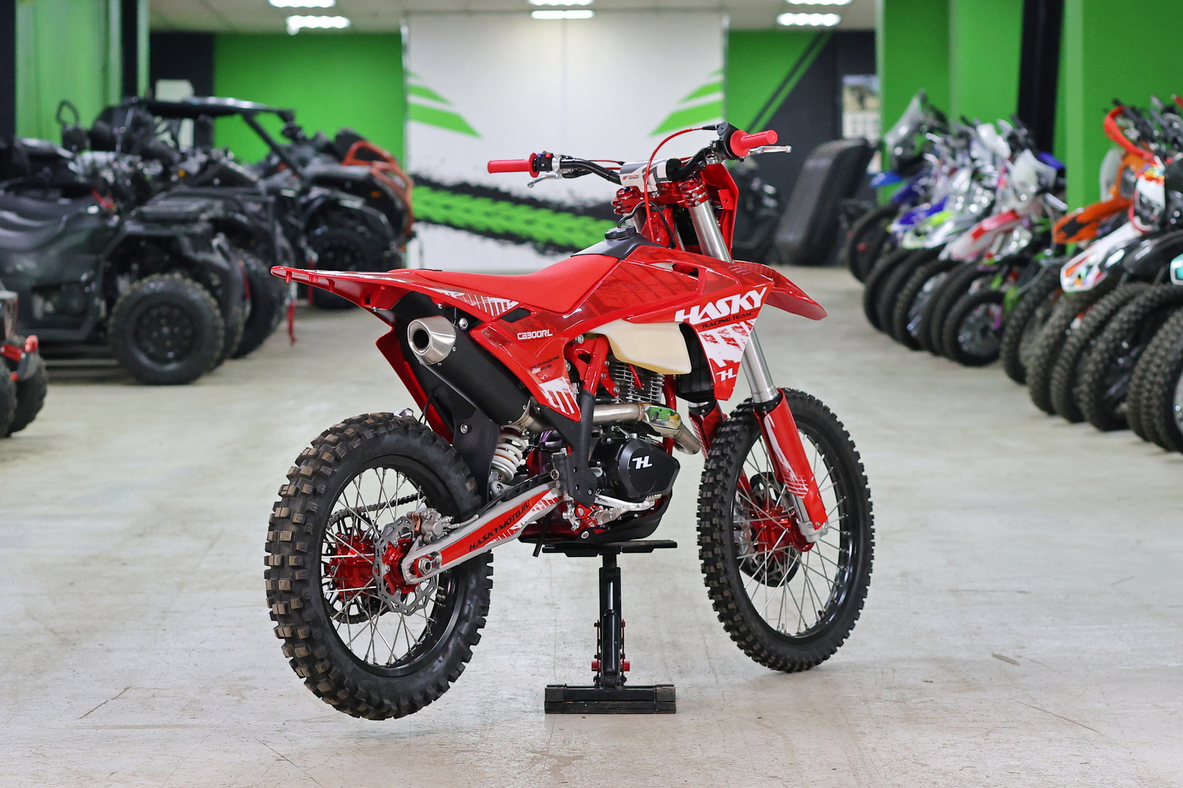 Мотоцикл Hasky A10 Ride CB300 RL MSD (A10 CB)-3